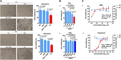 Novel Antiviral Activity of Ethyl 3-Hydroxyhexanoate Against Coxsackievirus B Infection